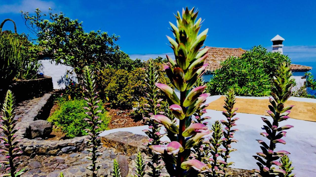 Finca Valentina Tigalate Luaran gambar