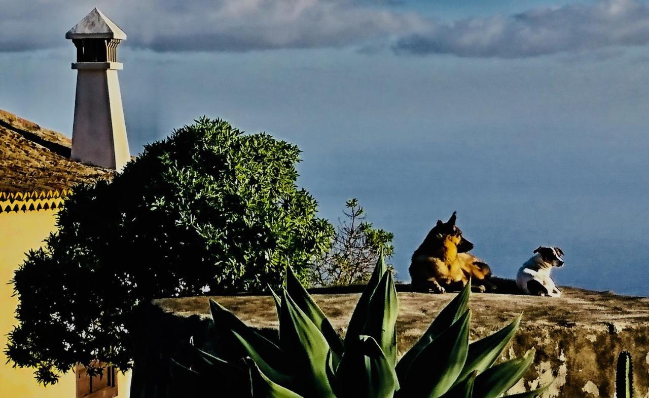 Finca Valentina Tigalate Luaran gambar