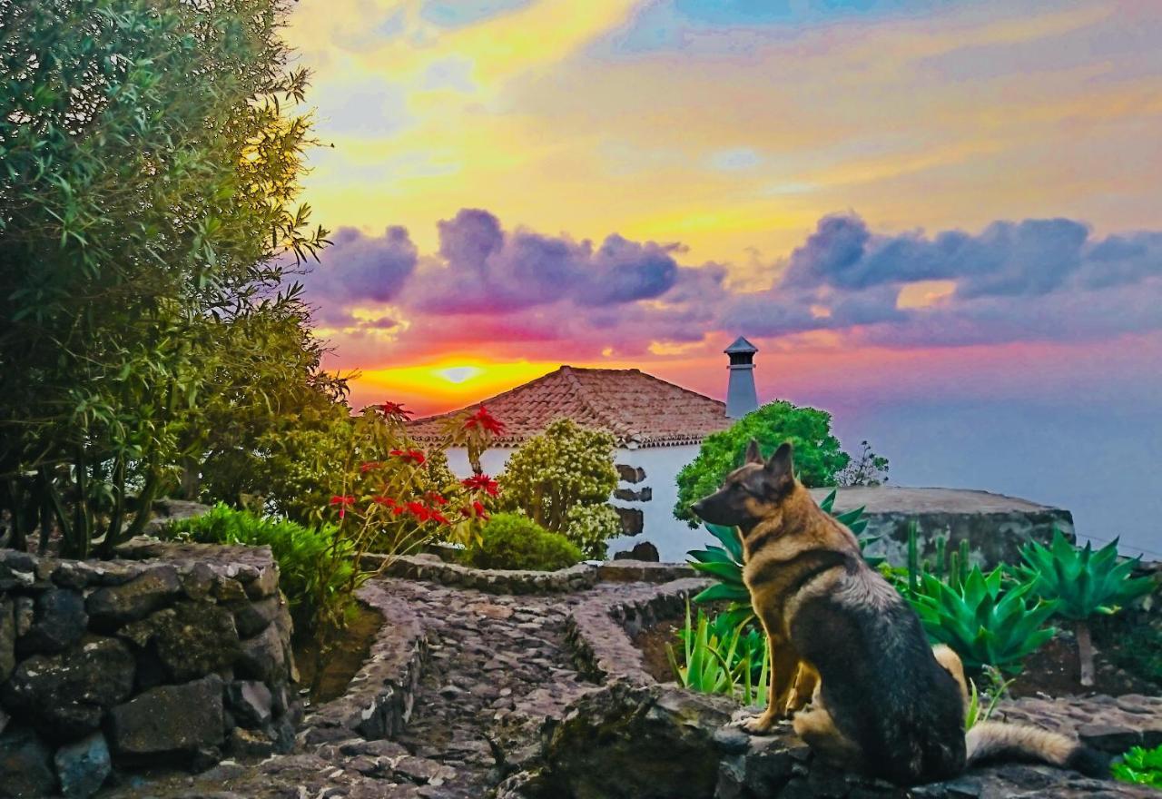 Finca Valentina Tigalate Luaran gambar
