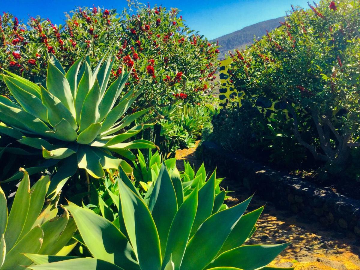 Finca Valentina Tigalate Luaran gambar